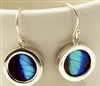 Round Butterfly Earrings