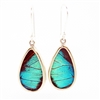 Oblong Butterfly Earrings