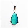 Oblong Butterfly Wing Pendants