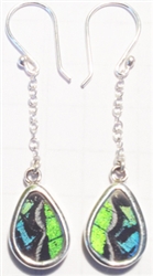 Droplet Butterfly Wing Earrings