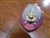 Disney Trading Pin 117070 HKDL World of Evil Mystery Collection ~ Madam Mim