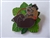 Disney Trading Pin  161145     DL - Baloo and Mowgli - Jungle Book - Best Buds - Tropical Leaves