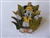Disney Trading Pin 164467     WDW - Safari Minnie - Animal Kingdom Mystery - Butterflies