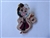 Disney Trading Pin 165995     PALM - Cruella de Vil - Standing - Happiest Collection on Earth - 101 Dalmatians