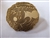 Disney Trading Pins 47912 DLR - 2006 Disneyland Resort Hotel Lanyard Collection Gold Coin (Minnie) 75