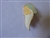 Disney Trading Pin  6055 Disney Gallery - Sleepy gold prototype