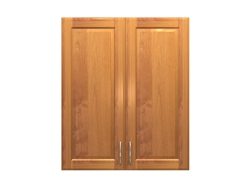 2 door wall cabinet