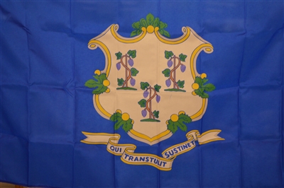 3' x 5' Connecticut Flag - Nylon