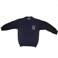 UNISEX YOUTH NAVY V-NECK PULLOVER