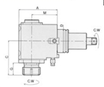 DW230-DF55-25-80 : Radial Milling & Drilling Holder  BMT w/ External Coolant