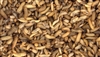 100 Live Black Soldier Fly Larvae-Medium