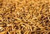 2000 Medium Mealworm Special