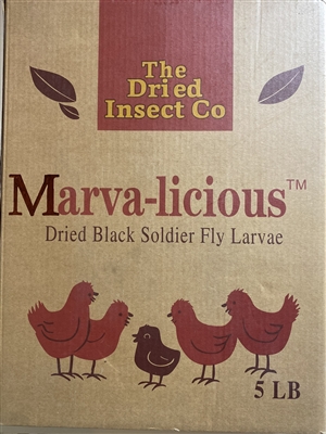 Dried Black Soldier Flies-5 Pounds