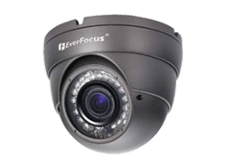 Everfocus EBD331E Analog Camera