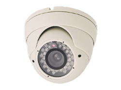 Everfocus EBD650 Outdoor 3-Axis Ball Camera