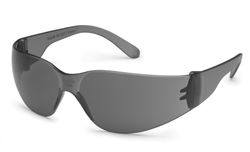 Protective Eyewear ( STARLITE-GRAY LENS )