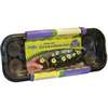 Jiffy J312G Windowsill Greenhouse Kit, Plastic