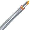 Southwire Duraclad 55274901 Armored Cable, 12 AWG Cable, 2-Conductor, 250 ft L, Copper Conductor, THHN/THWN Insulation