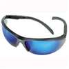 MSA 10083086 Essential Adjust Safety Glasses, Anti-Fog Lens, Metal Frame, Blue Gray Frame