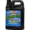 Spectracide HG-96543 Weed Stop, Liquid, Spray Application, 1 gal