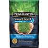 SEED KENTUCKY BLUEGRS BLND 3LB