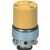 Eaton Wiring Devices WD2887 Electrical Connector, Straight Body, 1/4 to 5/8 in, 2-Pole, 15 A, 125 V, 3-Wire