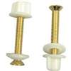 Danco 88653 Seat Hinge Bolt, Steel, Brass