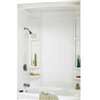 Maax Finesse Series 101595-000-129 Bathtub Wall Kit, 61 in L, 33-1/2 in W, 80 in H, Polystyrene, Smooth Wall