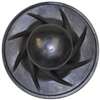 Danco 10429 Garbage Disposal Stopper, Plastic, Black