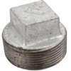 ProSource 31-1/4G Pipe Plug, 1/4 in, Screw