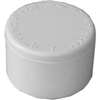 IPEX 435409 Pipe Cap, 1 in, Socket, PVC, SCH 40 Schedule