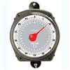 Taylor 3470 Hanging Scale, 70 lb, Analog Display, Steel Housing Material