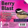 FEEDER BLAST BERRY SUET - Case of 12