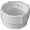 Canplas 193702S Cleanout Adapter, 2 in, Spigot x FNPT, PVC, White