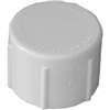 IPEX 435428 Pipe Cap, 2 in, FPT, White, SCH 40 Schedule, 150 psi Pressure