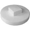 Canplas 414286BC Plug, 6 in, MNPT, PVC, White