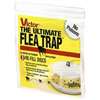 Terro T231 Flea Trap Refill Glue Board