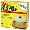 Terro T230 Flea Trap, Sweet