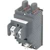 Pushmatic UBIP1515 Circuit Breaker, Tandem, Type UBIP, 15/15 A, 1 -Pole, 120/240 V, Standard Trip, Plug Mounting