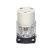 Eaton Wiring Devices WD8269 Electrical Connector, 2-Pole, 15 A, 125 V, NEMA: NEMA 5-15, Clear