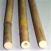Gardener's Blue Ribbon BB6N Plant Stake, 6 ft L, Bamboo, Natural