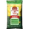Pennington 100543701 Kentucky Fescue Grass Seed, 20 lb Bag