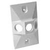 Hubbell 5189-1 Cover, Cluster, Lampholder, 4-19/32 in L, 2-27/32 in W, Rectangular, 1-Gang, Zinc, White, 20/CT