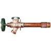 Arrowhead Brass 425-08QTLF/425 Anti-Siphon Frost-Proof Wall Hydrant, 1/2 x 3/4 in Connection, FIP x MIP, Satin