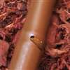 Rain Bird ET63-100S Emitter Tubing, 100 ft L, Brown