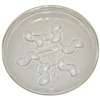 PLANT SAUCER PLASTIC CLR 14IN - Case of 12