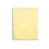 SPONGE POLYETHER 8-1/2X6-1/2IN - Case of 24