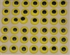 CEY-5-84 Eyes. 7/16" yellow with black spot. Qty. 84