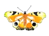 SK10088 - Colour Butterfly