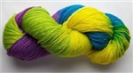 Great Adirondack Silky Sock Yarn